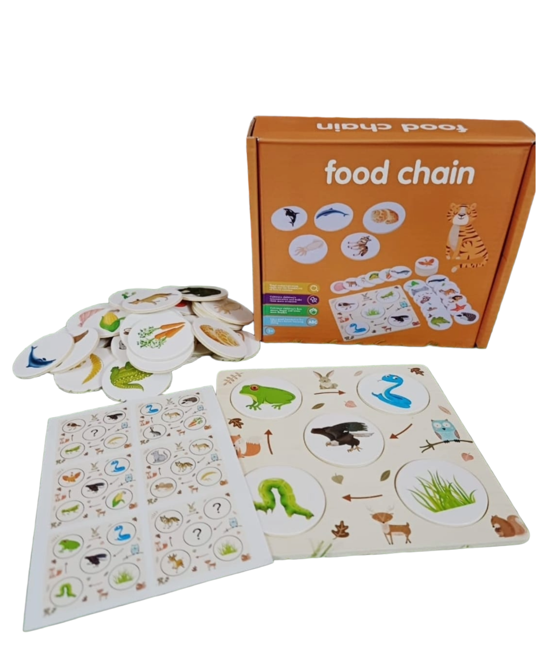 Food Chain Puzzle